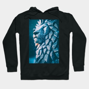 lion made out of ice Hoodie